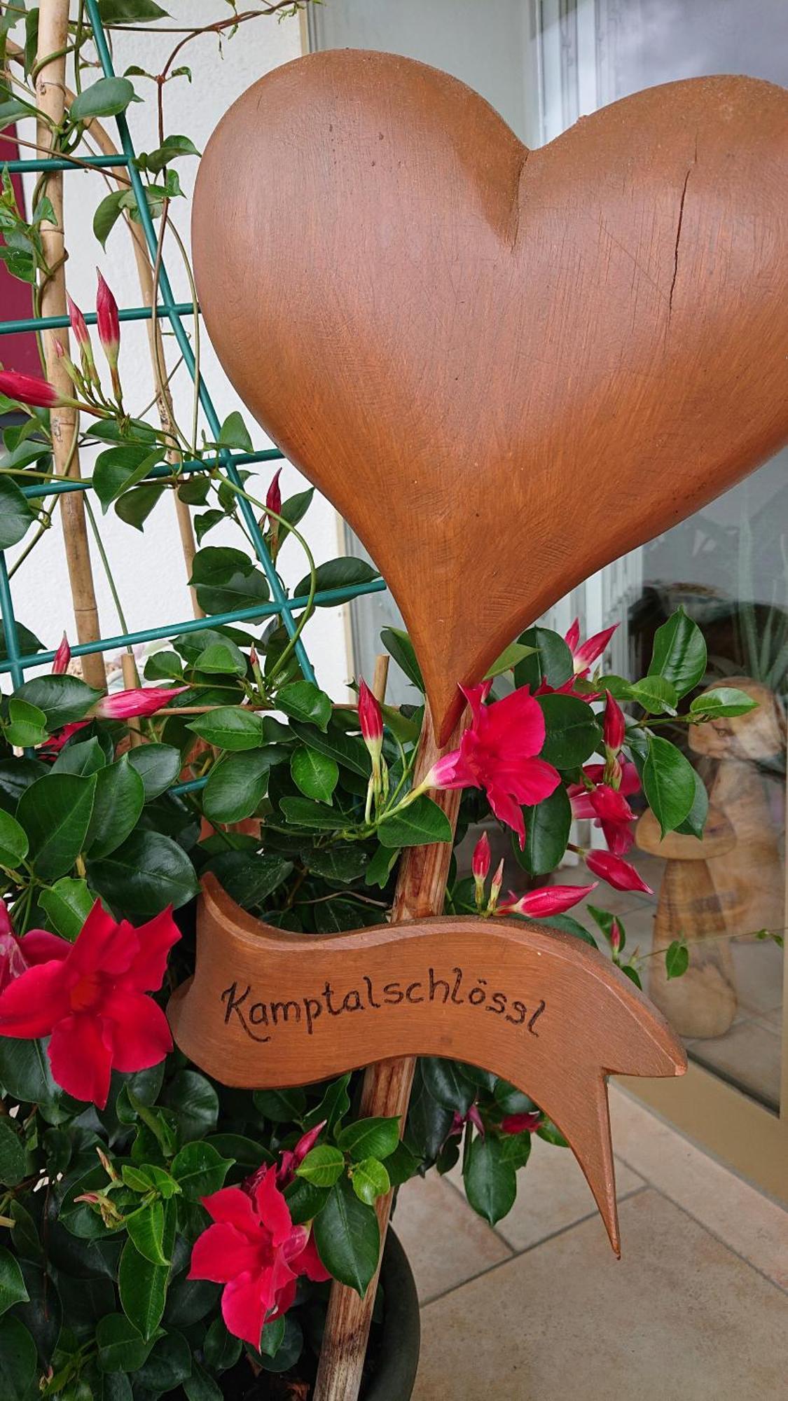 Kamptalschloessl Hotel Plank am Kamp Buitenkant foto